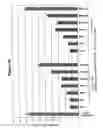 Fig. 17 - RNA interference mediated inhibition of gene expression using chemically modified short interfering nucleic acid (siNA)