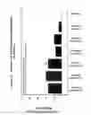 Fig. 24 - RNA interference mediated inhibition of gene expression using chemically modified short interfering nucleic acid (siNA)