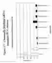 Fig. 38 - RNA interference mediated inhibition of gene expression using chemically modified short interfering nucleic acid (siNA)