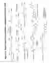 Fig. 43 - RNA interference mediated inhibition of gene expression using chemically modified short interfering nucleic acid (siNA)