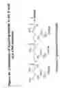 Fig. 49 - RNA interference mediated inhibition of gene expression using chemically modified short interfering nucleic acid (siNA)