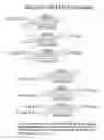 Fig. 62 - RNA interference mediated inhibition of gene expression using chemically modified short interfering nucleic acid (siNA)