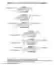 Fig. 64 - RNA interference mediated inhibition of gene expression using chemically modified short interfering nucleic acid (siNA)