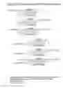 Fig. 66 - RNA interference mediated inhibition of gene expression using chemically modified short interfering nucleic acid (siNA)