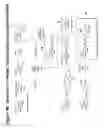 Fig. 70 - RNA interference mediated inhibition of gene expression using chemically modified short interfering nucleic acid (siNA)