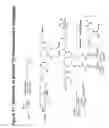 Fig. 72 - RNA interference mediated inhibition of gene expression using chemically modified short interfering nucleic acid (siNA)