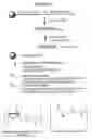 Fig. 02 - RNA interference mediated inhibition of gene expression using chemically modified short interfering nucleic acid (siNA)