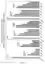 Fig. 30 - RNA interference mediated inhibition of gene expression using chemically modified short interfering nucleic acid (siNA)