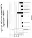 Fig. 37 - RNA interference mediated inhibition of gene expression using chemically modified short interfering nucleic acid (siNA)