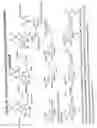 Fig. 47 - RNA interference mediated inhibition of gene expression using chemically modified short interfering nucleic acid (siNA)