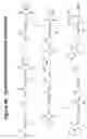 Fig. 50 - RNA interference mediated inhibition of gene expression using chemically modified short interfering nucleic acid (siNA)