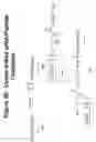 Fig. 51 - RNA interference mediated inhibition of gene expression using chemically modified short interfering nucleic acid (siNA)