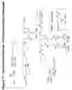 Fig. 72 - RNA interference mediated inhibition of gene expression using chemically modified short interfering nucleic acid (siNA)