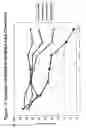 Fig. 81 - RNA interference mediated inhibition of gene expression using chemically modified short interfering nucleic acid (siNA)