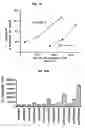 Fig. 17 - Methods, compositions, and formulations for preventing or reducing adverse effects in a patient