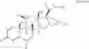 Fig. 02 - Salmeterol and ciclesonide combination