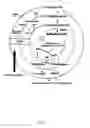 Fig. 02 - Pharmaceutical composition comprising progestogens and/or estrogens and 5-methyl- (6S)-tetrahydrofolate