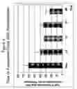Fig. 03 - Method of improved diuresis in individuals with impaired renal function