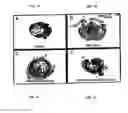 Fig. 09 - Promotion of wound healing