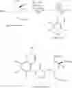 Fig. 12 - Intermediates for synthesis of vinblastine, process for preparation of the intermediates and process for synthesis of vinblastines