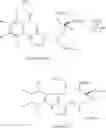 Fig. 13 - Intermediates for synthesis of vinblastine, process for preparation of the intermediates and process for synthesis of vinblastines