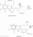 Fig. 17 - Intermediates for synthesis of vinblastine, process for preparation of the intermediates and process for synthesis of vinblastines