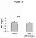 Fig. 17 - Methods and compositions for the treatment of diabetes