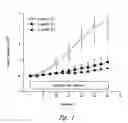 Fig. 02 - Beta-sheet mimetics and methods relating to the use thereof