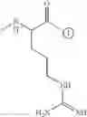 Fig. 134 - Beta-sheet mimetics and methods relating to the use thereof