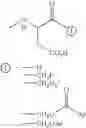 Fig. 138 - Beta-sheet mimetics and methods relating to the use thereof
