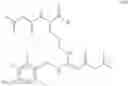 Fig. 185 - Beta-sheet mimetics and methods relating to the use thereof