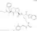 Fig. 187 - Beta-sheet mimetics and methods relating to the use thereof