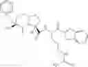 Fig. 202 - Beta-sheet mimetics and methods relating to the use thereof
