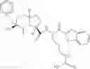 Fig. 203 - Beta-sheet mimetics and methods relating to the use thereof