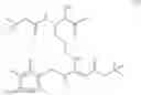 Fig. 206 - Beta-sheet mimetics and methods relating to the use thereof