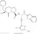 Fig. 262 - Beta-sheet mimetics and methods relating to the use thereof