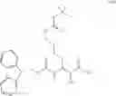 Fig. 294 - Beta-sheet mimetics and methods relating to the use thereof