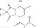 Fig. 571 - Beta-sheet mimetics and methods relating to the use thereof