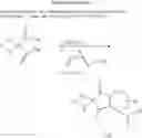 Fig. 61 - Beta-sheet mimetics and methods relating to the use thereof