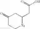 Fig. 857 - Beta-sheet mimetics and methods relating to the use thereof