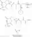 Fig. 98 - Beta-sheet mimetics and methods relating to the use thereof
