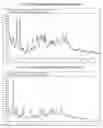 Fig. 10 - Amorphous and polymorphic forms of telmisartan sodium