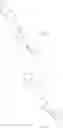 Fig. 141 - Quaternary salt CCR2 antagonists