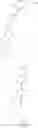 Fig. 154 - Quaternary salt CCR2 antagonists