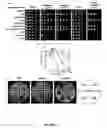 Fig. 02 - Fungicidal effect by regulating signal transduction pathways