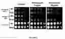 Fig. 03 - Fungicidal effect by regulating signal transduction pathways