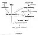 Fig. 09 - Fungicidal effect by regulating signal transduction pathways