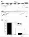 Fig. 09 - Iptakalim hydrochloride for decreasing nicotine use