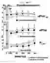 Fig. 15 - Methods for treating a mammal before, during and after cardiac arrest
