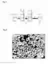 Fig. 06 - Method for producing functional polyimide fine particle and rewritable memory material utilizing change in fluorescence characteristics caused in fluorescence characteristics caused by light irradiation or heat treatment